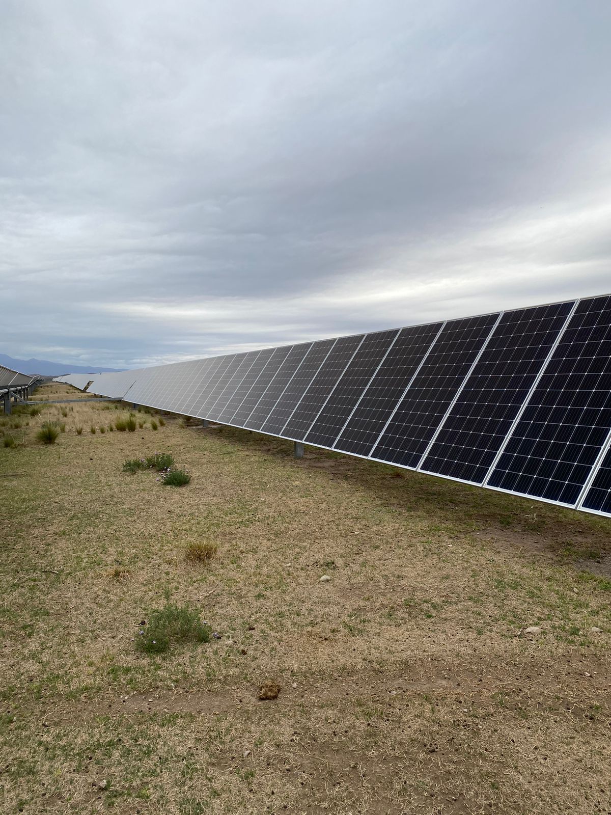 Energía comercial para empresas y pymes con muchos paneles solares en vertical