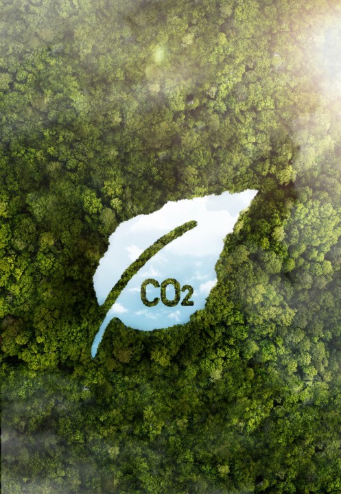 Hoja con espacio negativo que tiene dentro un símbolo de Co2 rodeado de un bosque
